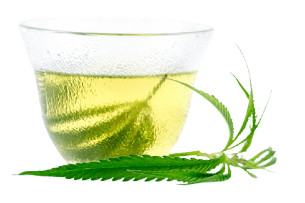 Distribuidor Cristian Canas en Utrilla Teruel